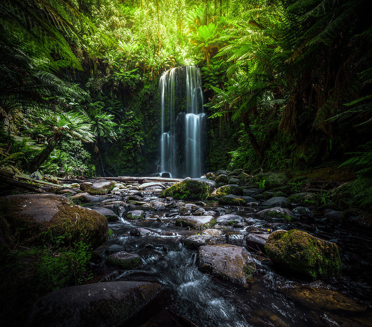 landscape photography, nature photography, waterfall photography, Beauchamp Falls photography, beauchamp falls waterfall photography, Geelong photography, Otway forest, Otway Ranges, Victoria, Australia