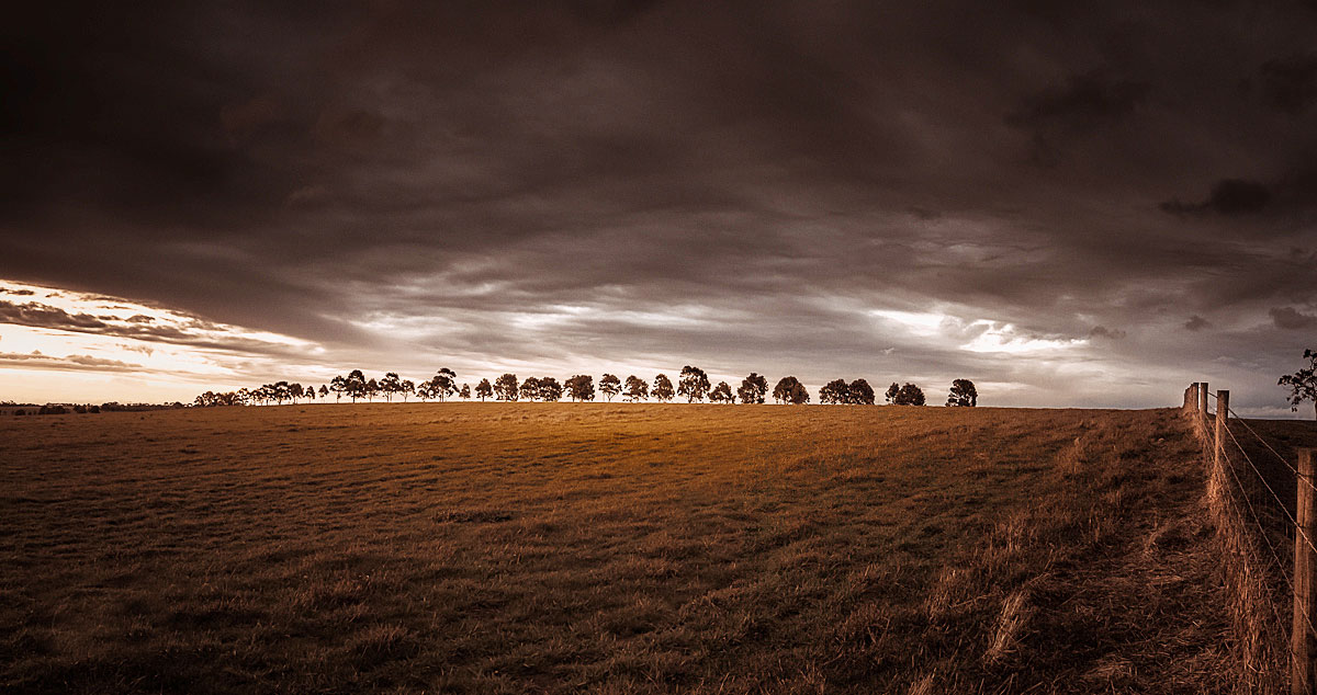 landscape photography, winter sunset, late afternoon rain clouds, country road, country scene, tree line, Geelong, Victoria, Australia
