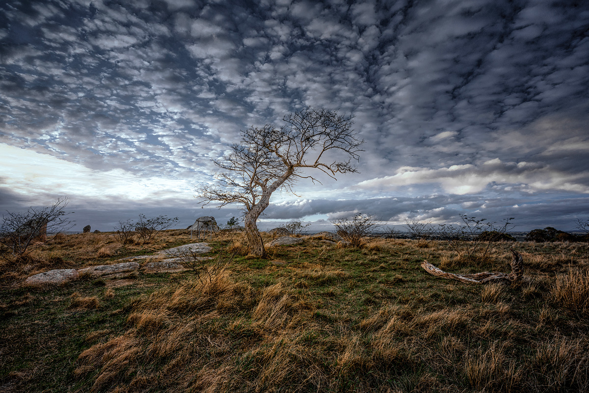 nature photography, landscape photography, seascape photography, Dog Rocks, Victoria, Australia