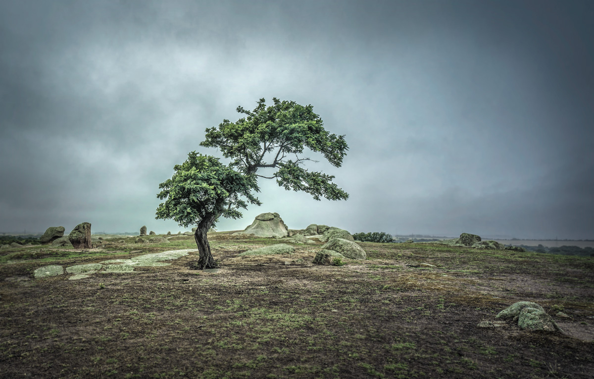 landscape photography, rainy day, late afternoon rain clouds, dog rocks, country scene, tree line, Batesford, Geelong, Victoria, Australia